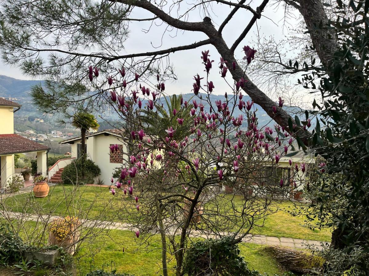 Casa Del Pino Panzió Borgo a Buggiano Kültér fotó